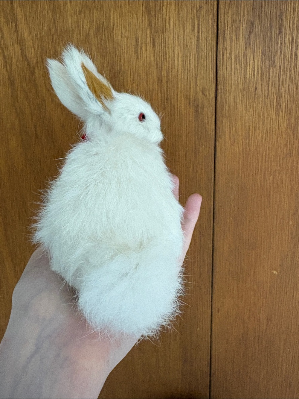Realistic Rabbit Model Using Real Fur - Picture 6 of 7